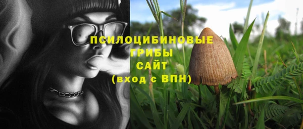 стафф Армянск