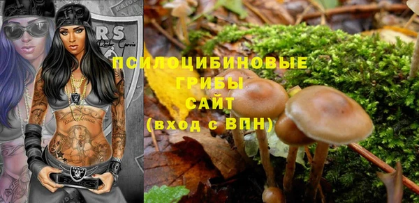 мет Арсеньев