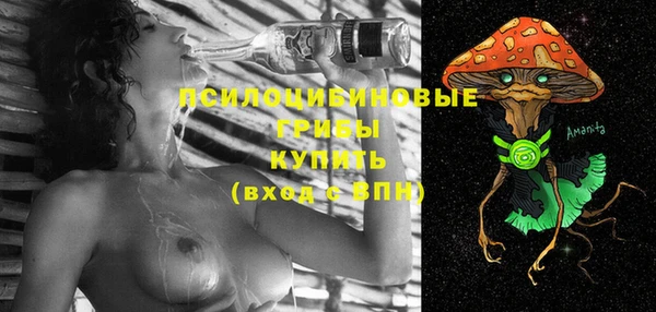 стафф Армянск