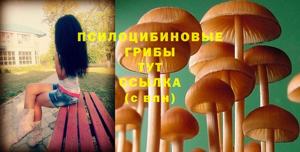соль курить ск Аркадак